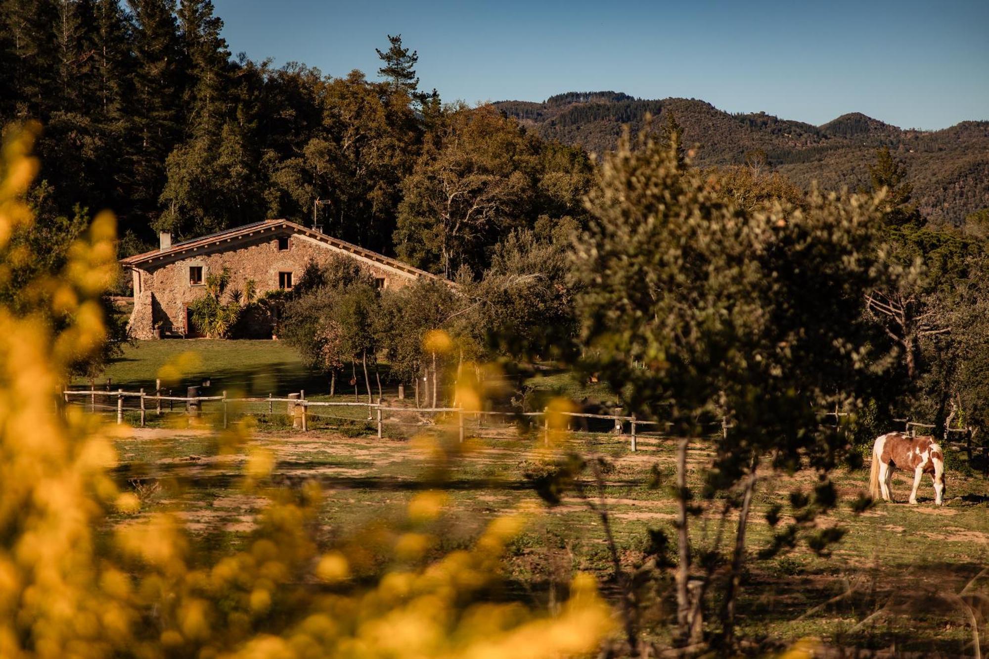 La Paradella - Apartamento De Uso Turistico Arbúcies Exteriör bild